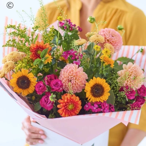 Delightful Dahlias Mix
